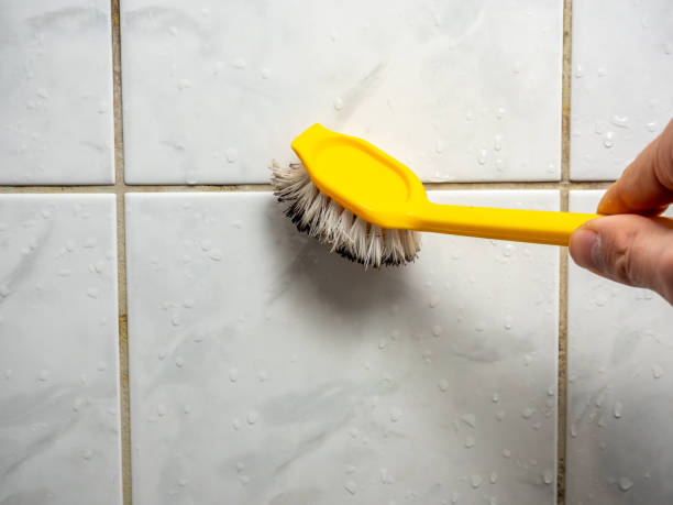 Office Mold Removal Services in Earle, AR