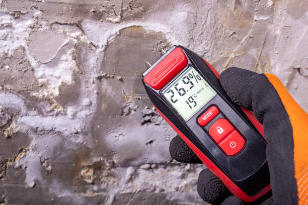 Best Mold Damage Repair  in Ele, AR